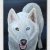 hund