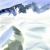 nebelmeer_00