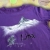 shirt34